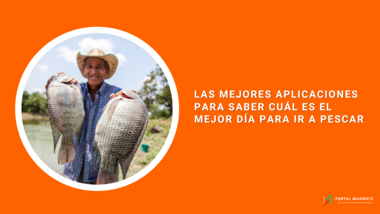 Las mejores aplicaciones para saber cuál es el mejor día para ir a pescar