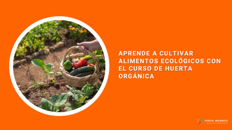 Aprende a cultivar alimentos ecológicos con el curso de huerta orgánica