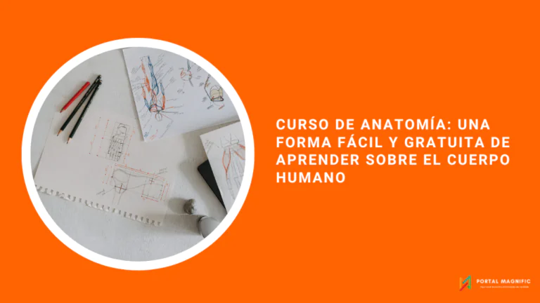 Curso de anatomía: una forma fácil y gratuita de aprender sobre el cuerpo humano