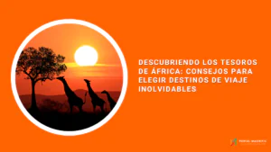 Descubriendo los Tesoros de África: Consejos para Elegir Destinos de Viaje Inolvidables