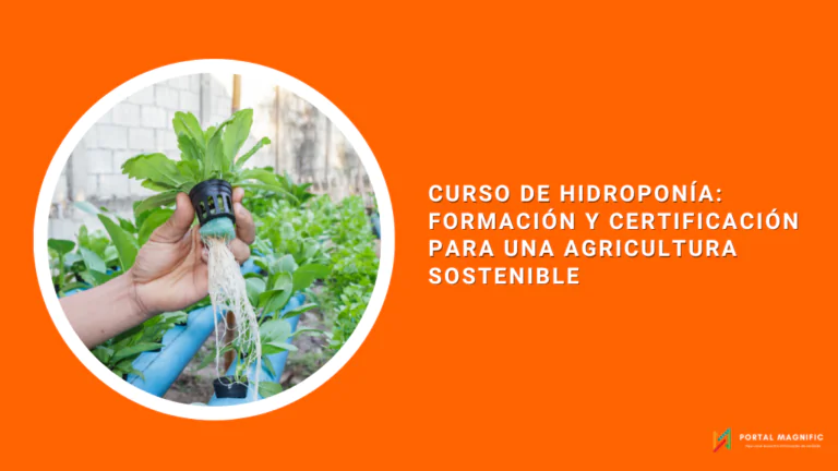 Curso de Hidroponía: Formación y Certificación para una Agricultura Sostenible